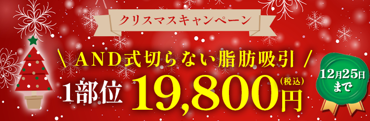 クリスマスキャンペーン