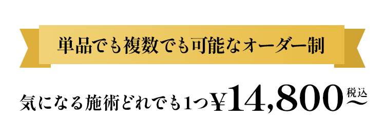 単品でも複数でも可能なオーダー性気になる施術どれでも1つ14800円