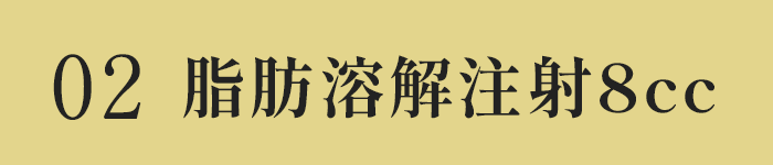 脂肪溶解注射8cc