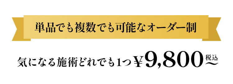 単品でも複数でも可能なオーダー性気になる施術どれでも1つ選べる